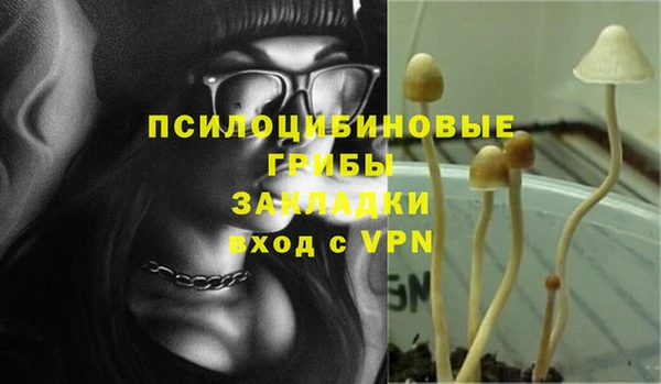 прущие грибы Нягань
