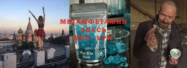 прущие грибы Нягань