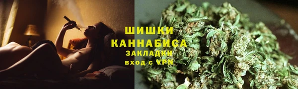 прущие грибы Нягань