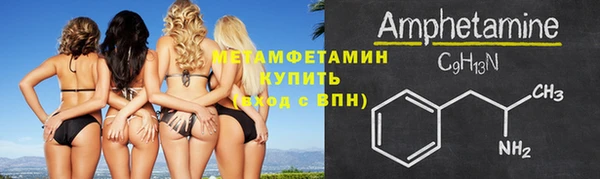 прущие грибы Нягань
