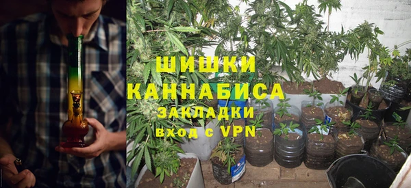 прущие грибы Нягань