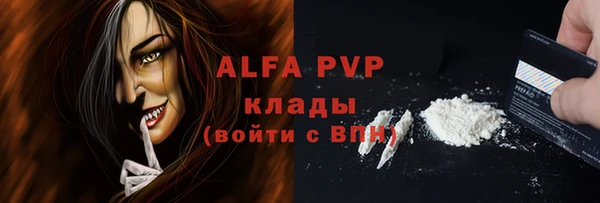 прущие грибы Нягань