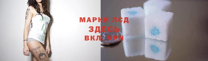 a pvp Няндома