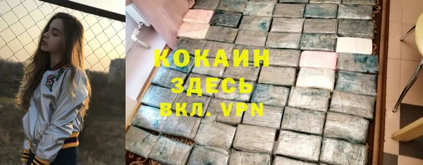 прущие грибы Нягань