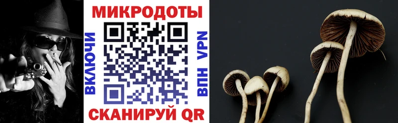 Галлюциногенные грибы Psilocybine cubensis  darknet Telegram  Набережные Челны 