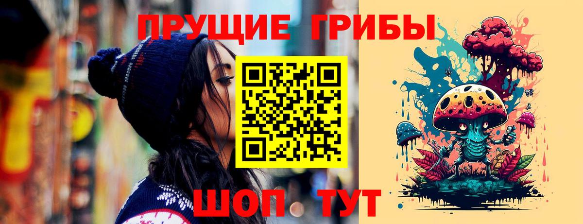 Галлюциногенные грибы Psilocybine cubensis  Вход с VPN  Набережные Челны 